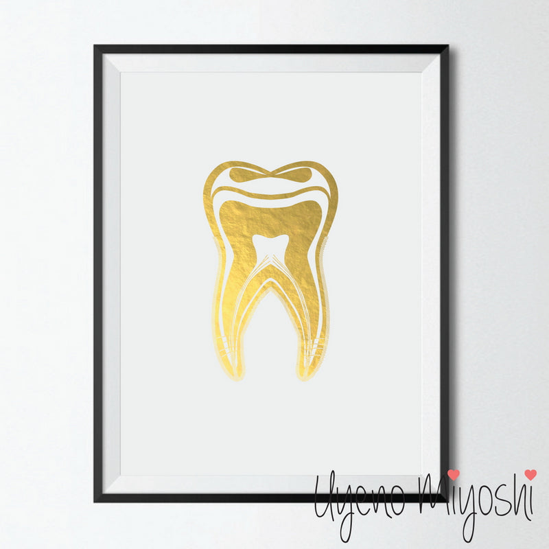 Human Tooth II