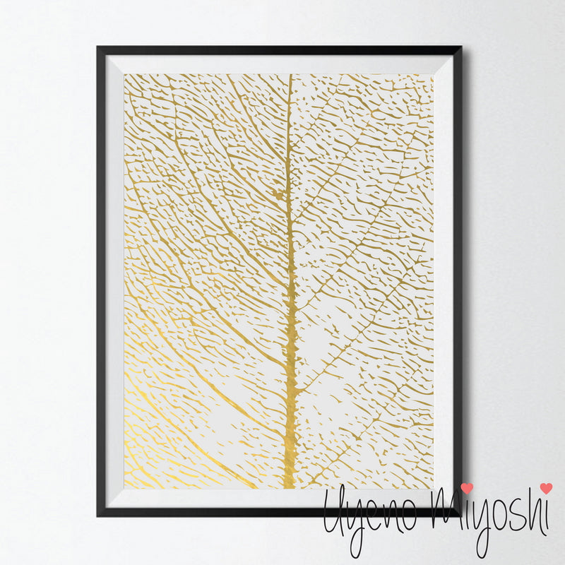 Leaf Fossil
