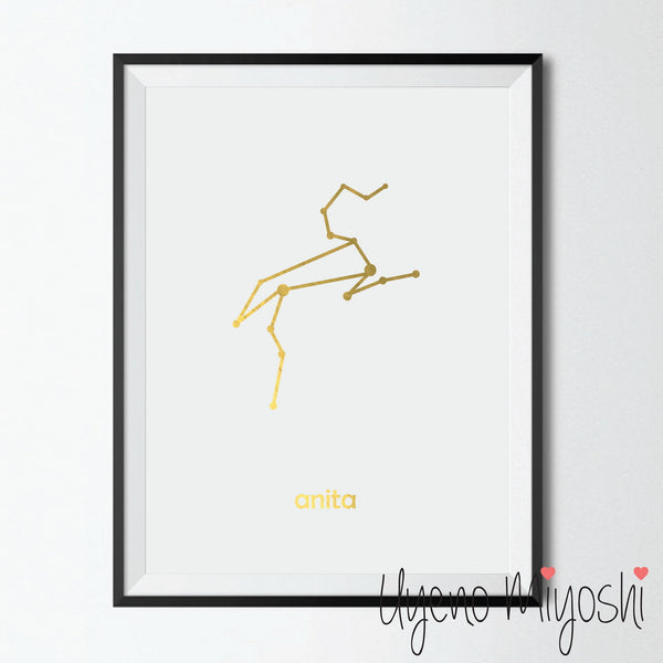 Constellation - Leo