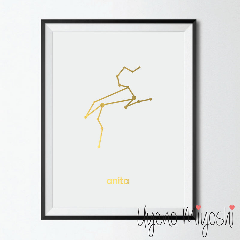 Constellation - Leo