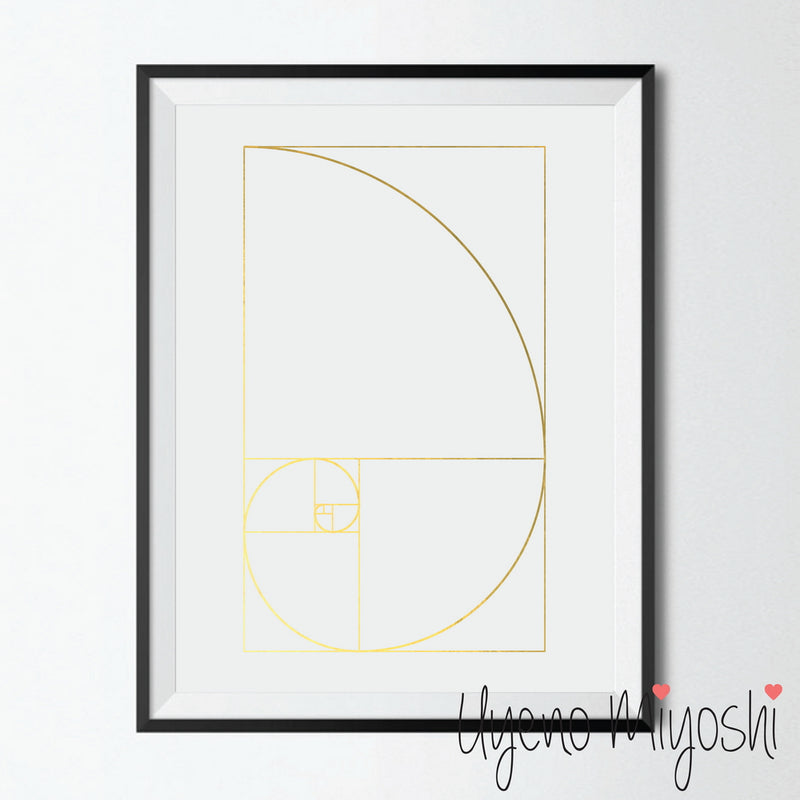 Fibonacci Spiral