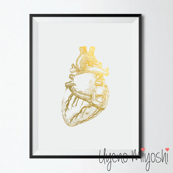 Human Heart I