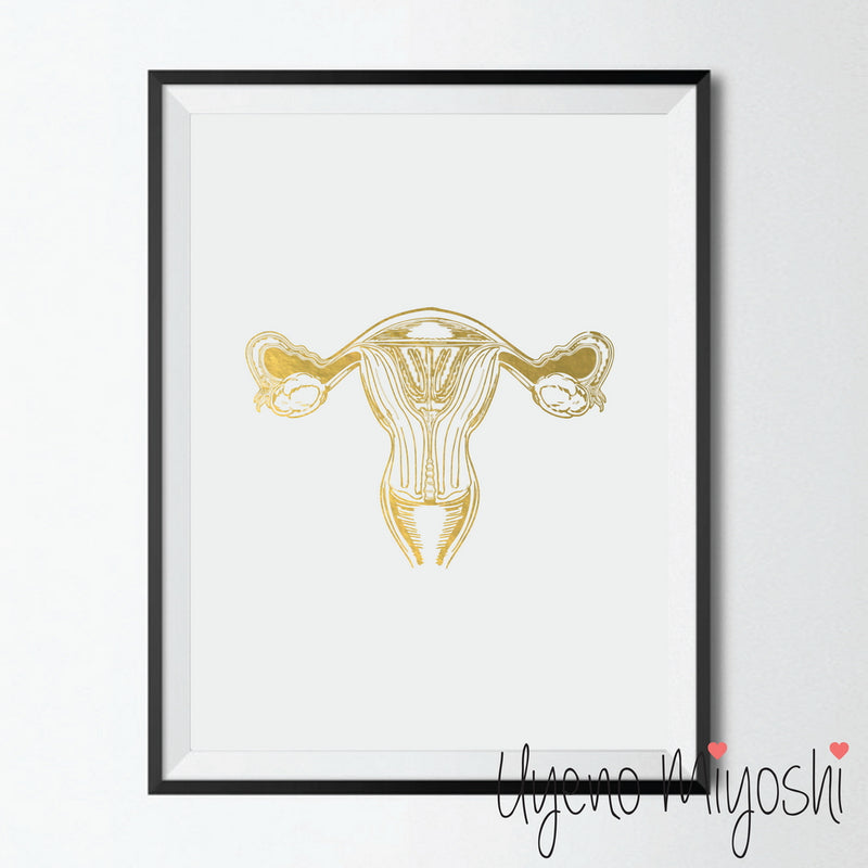 Female Reproductive System