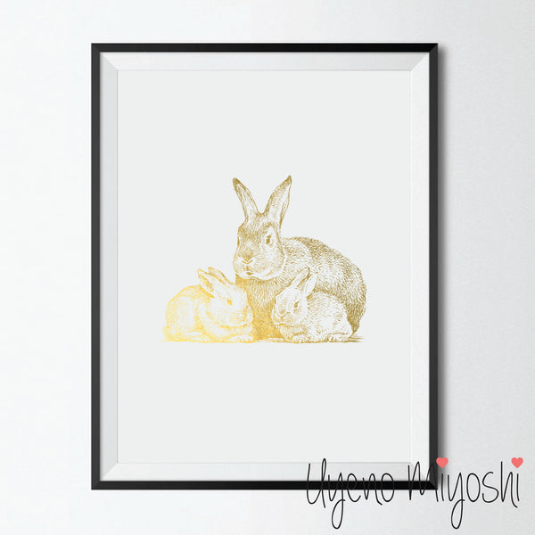 Rabbit IV