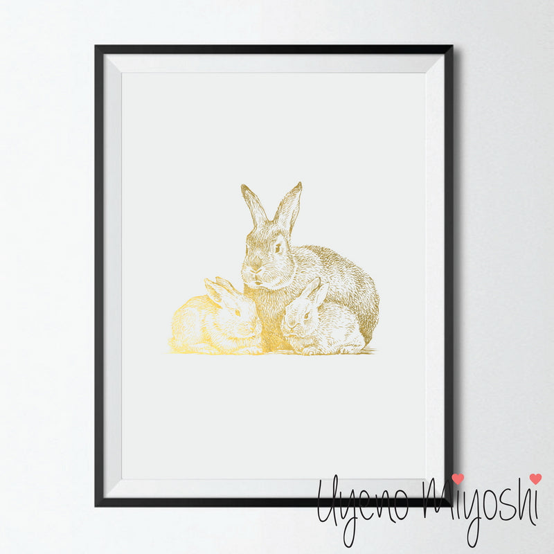 Rabbit IV