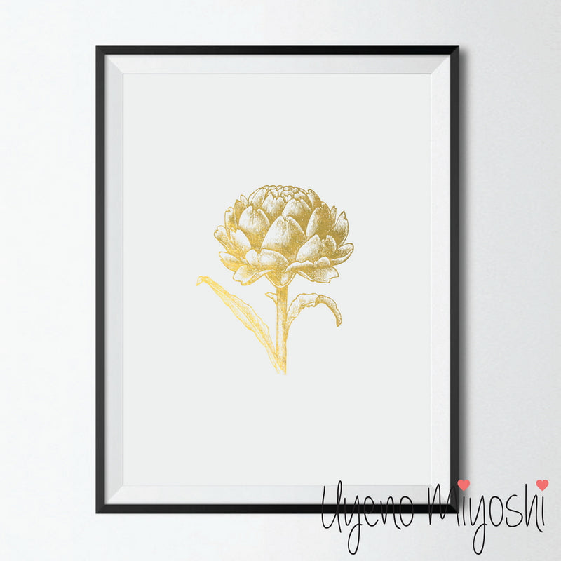 Vegetable - Artichoke