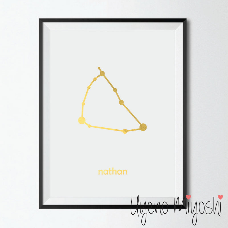 Constellation - Capricorn
