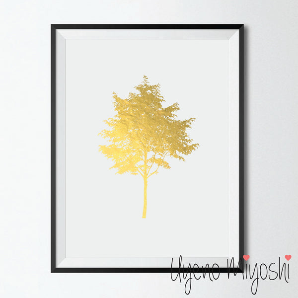 Maple Tree