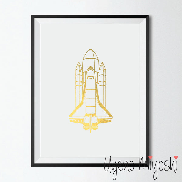 Spaceship