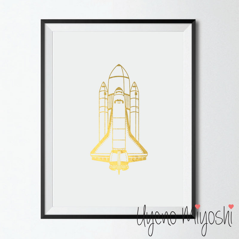 Spaceship