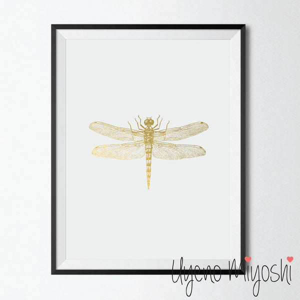 Dragonfly II