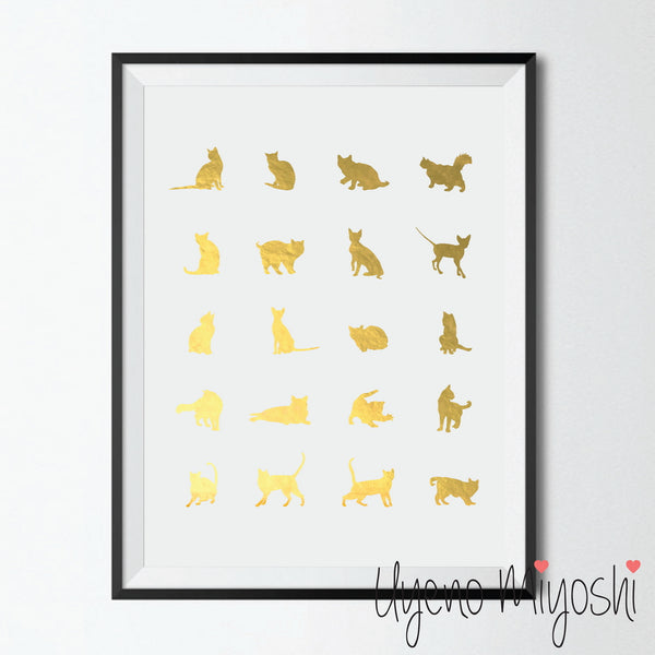 Cat Breeds