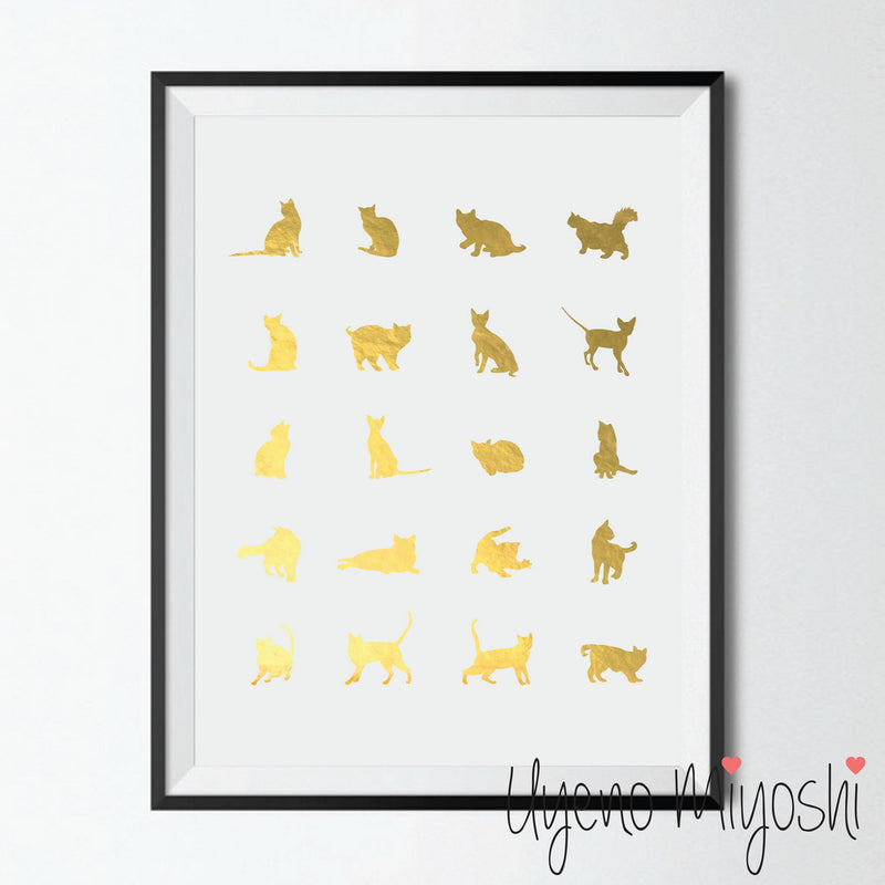 Cat Breeds