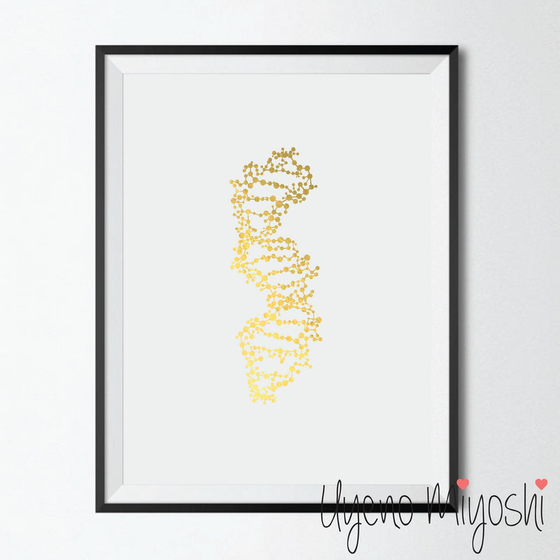 DNA I