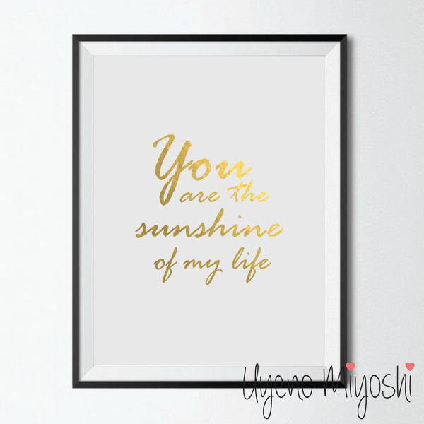 You Are the Sunshine of My Life
