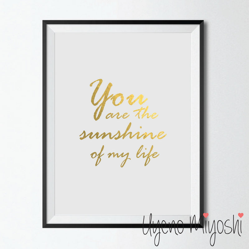You Are the Sunshine of My Life