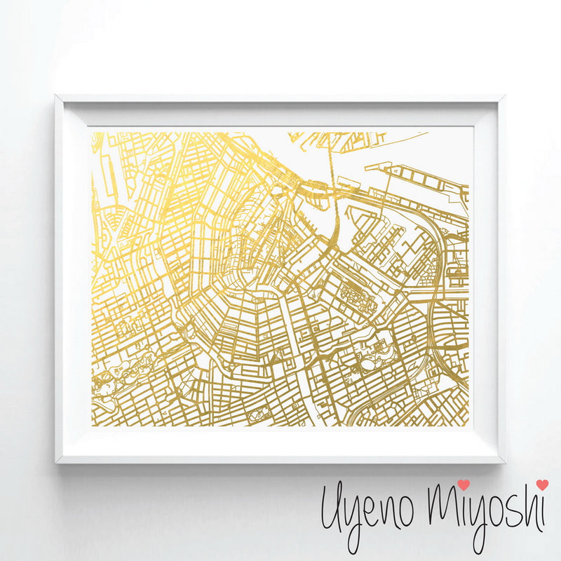 Amsterdam Street Map