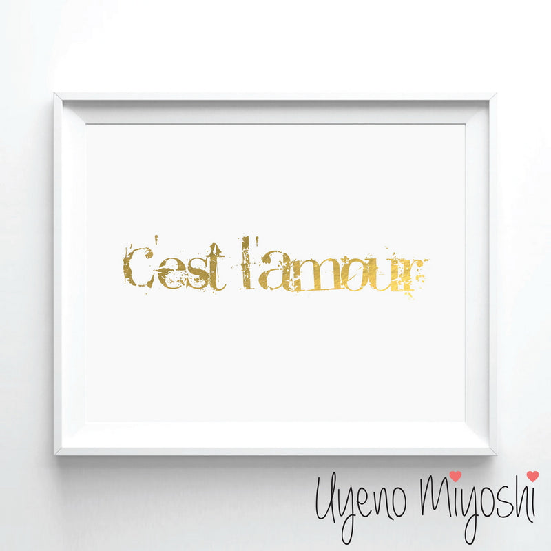C'est L'Amour I