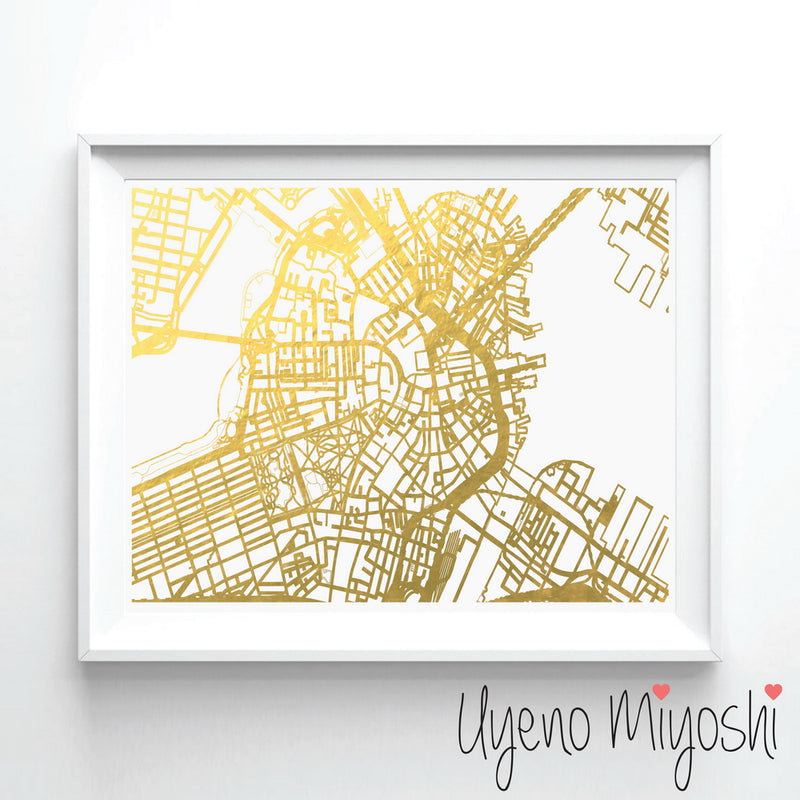 Boston Street Map