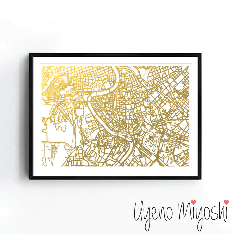 Rome Street Map
