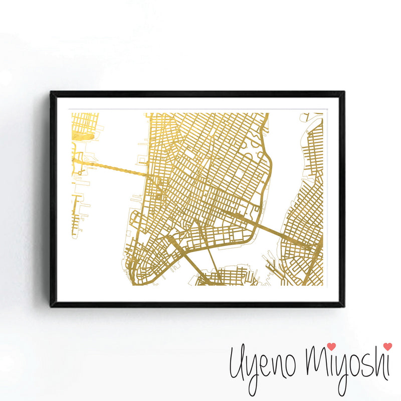 New York City Street Map I