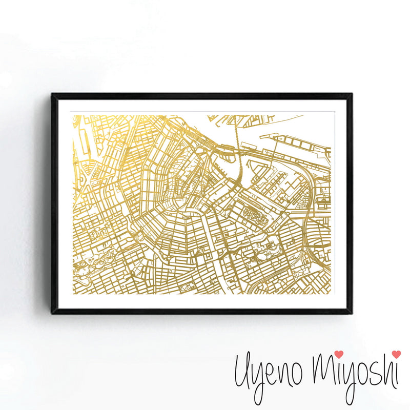 Amsterdam Street Map