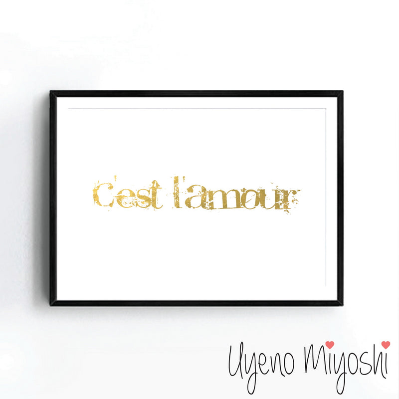 C'est L'Amour I