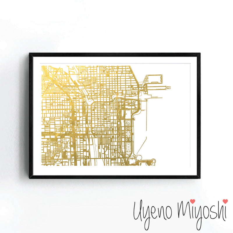 Chicago Street Map I