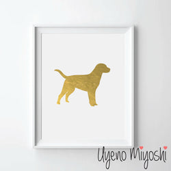Dog - Lab