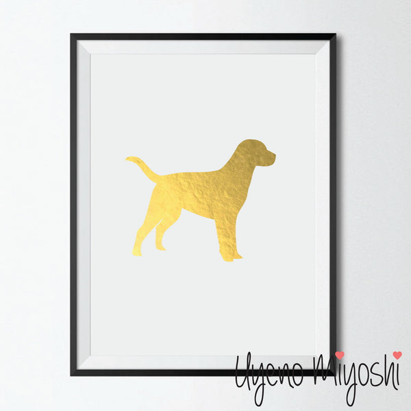 Dog - Lab