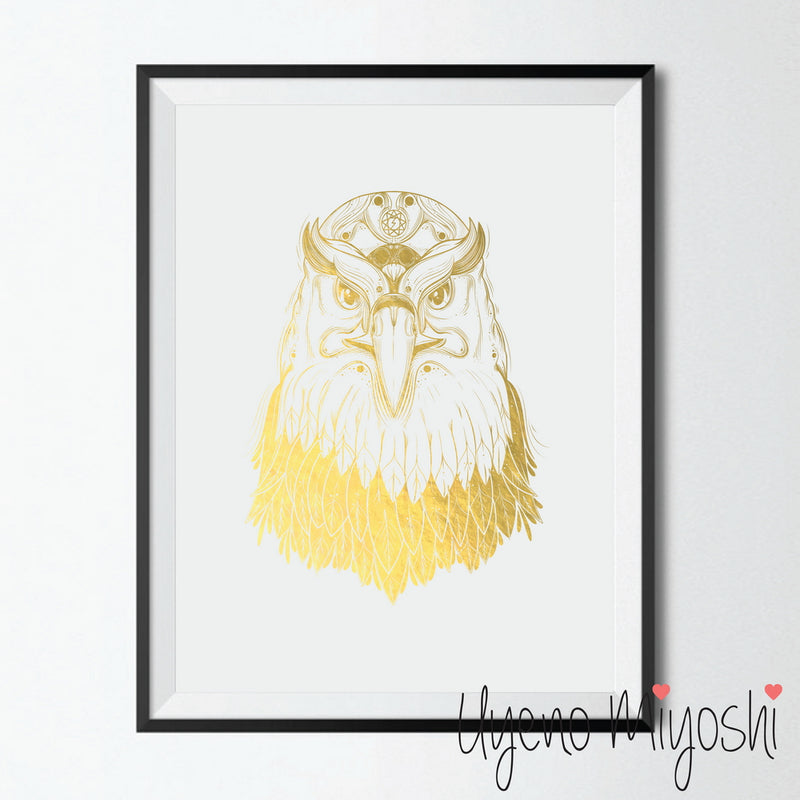 Eagle Portrait