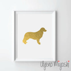 Dog - Golden Retriever