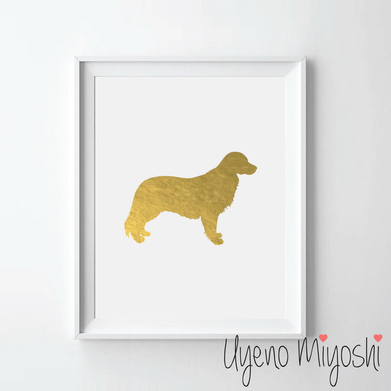 Dog - Golden Retriever
