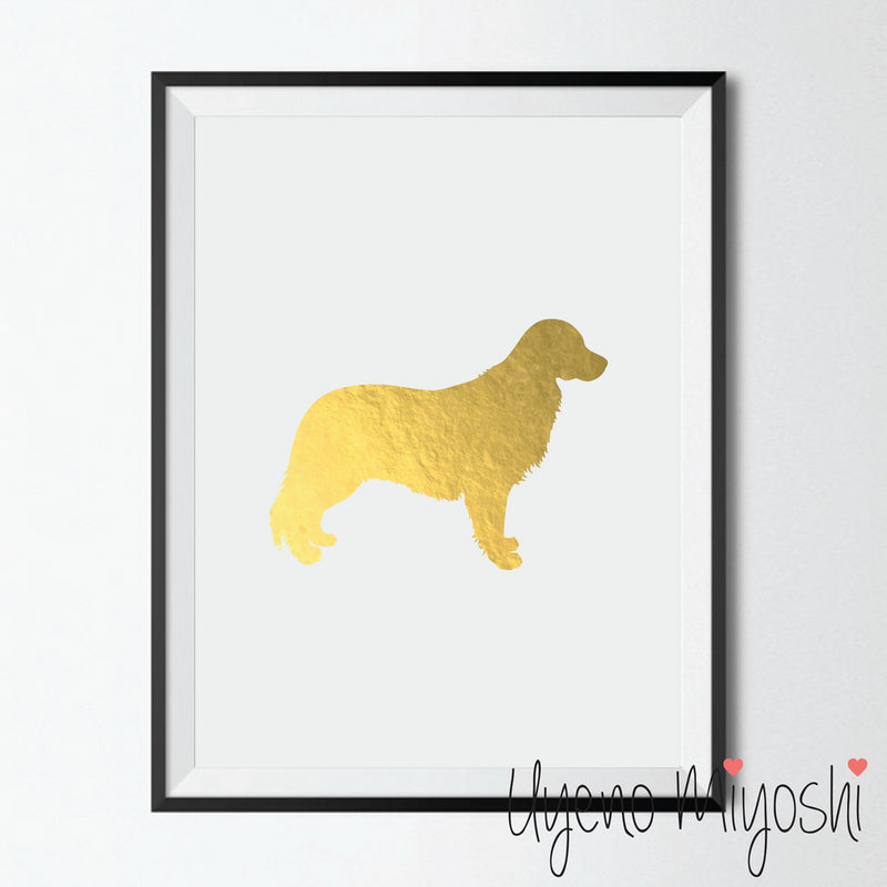 Dog - Golden Retriever