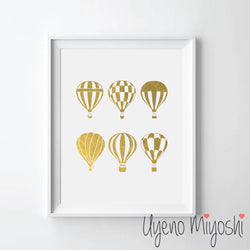 Hot Air Balloon