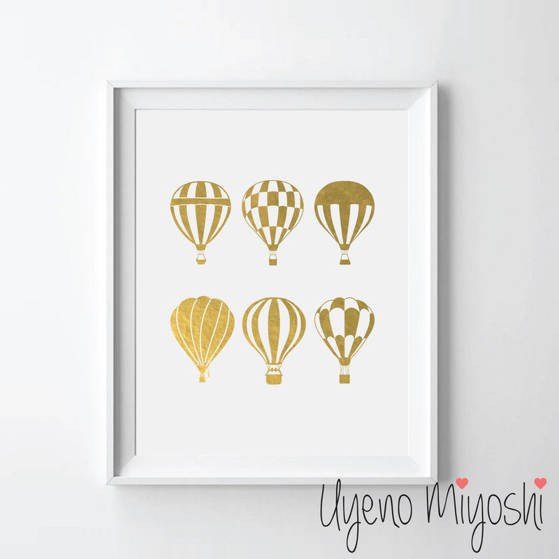 Hot Air Balloon