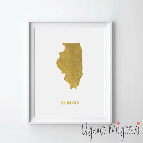 Map - Illinois
