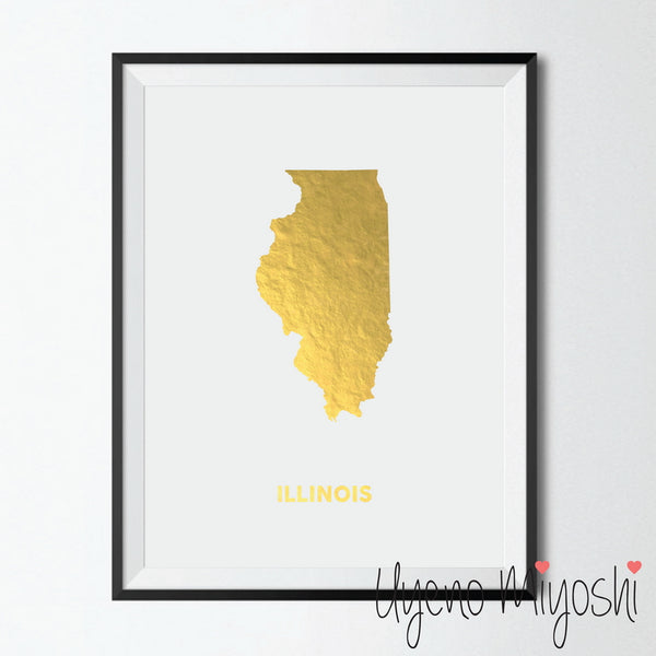 Map - Illinois