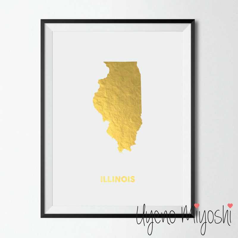 Map - Illinois