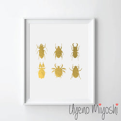 Beetles