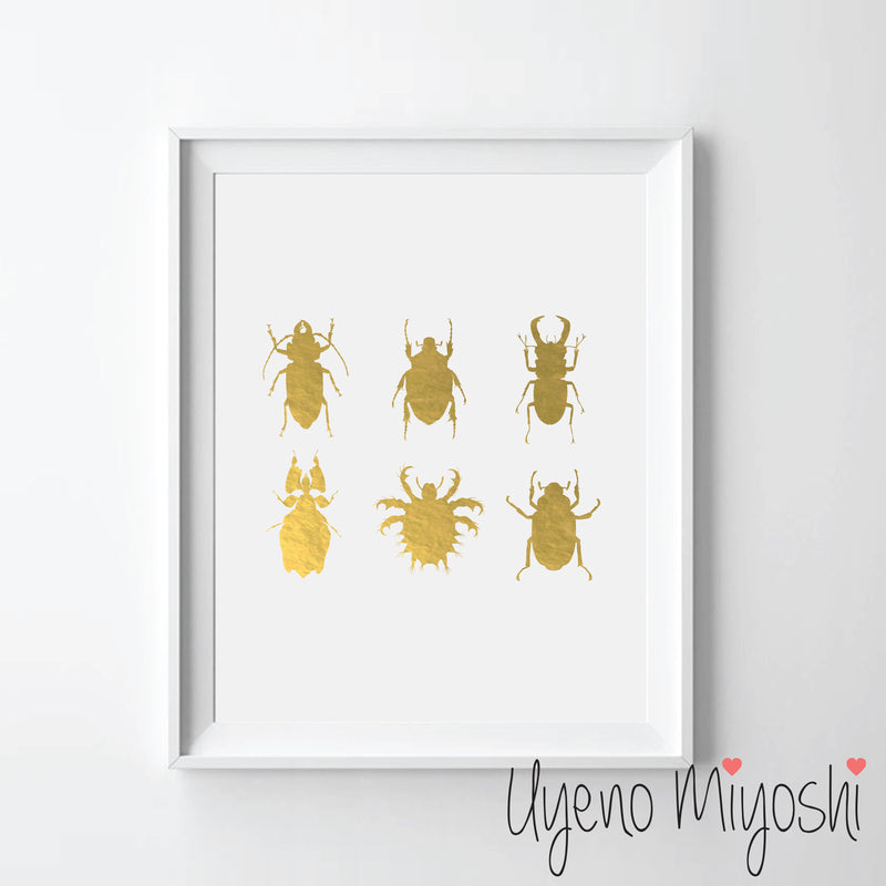 Beetles