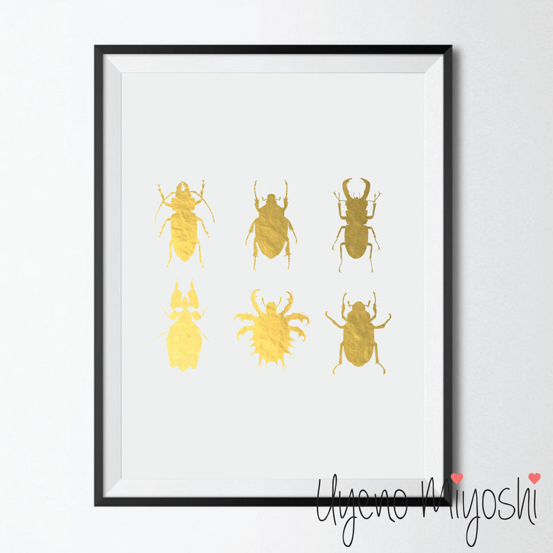 Beetles