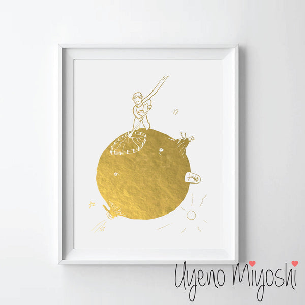 The Little Prince V