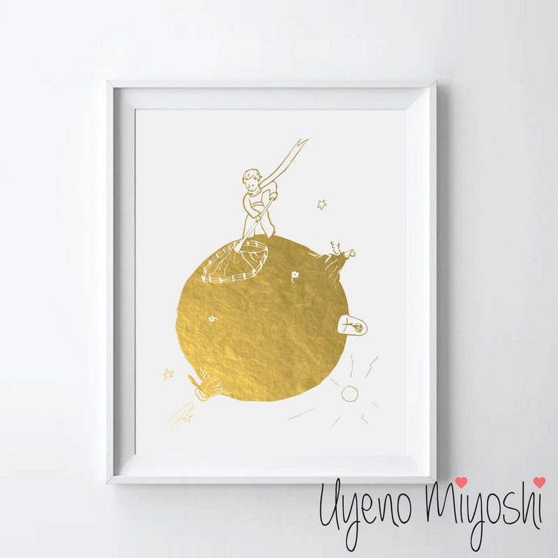 The Little Prince V