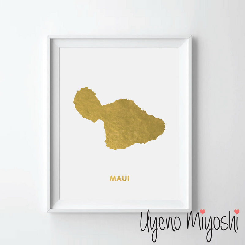 Map - Maui
