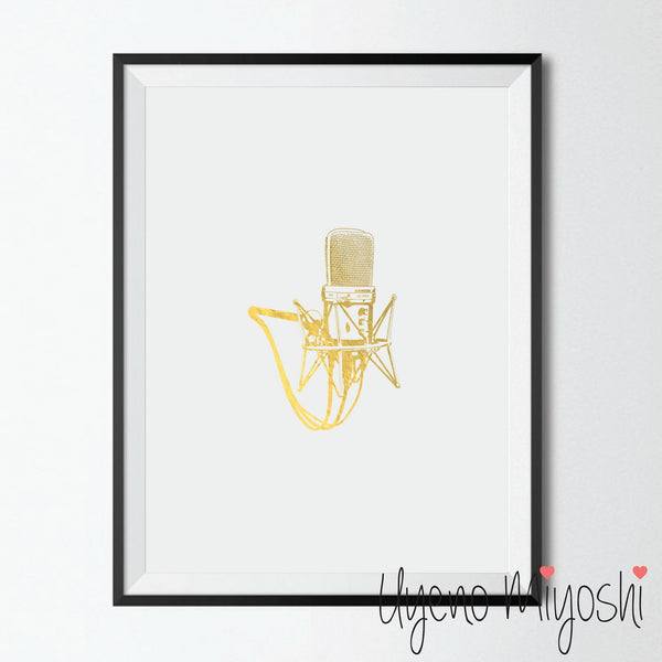 Microphone