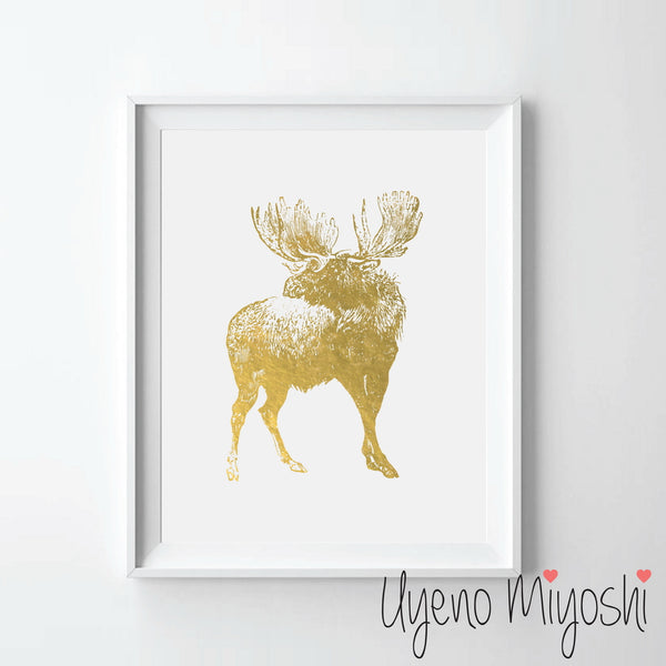 Moose