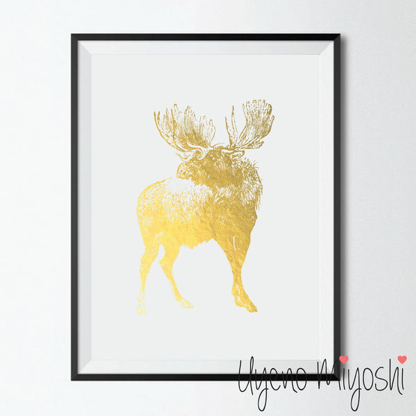 Moose