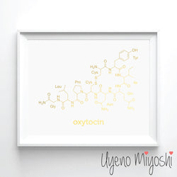 Chemical Molecule - Oxytocin