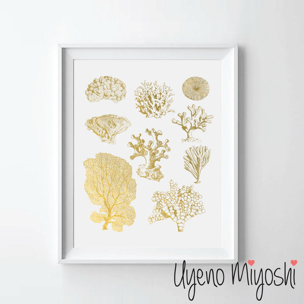 Sea Coral Combo I